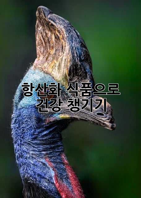 항산화 식품으로 건강 챙기기 💪