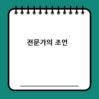 전문가의 조언 