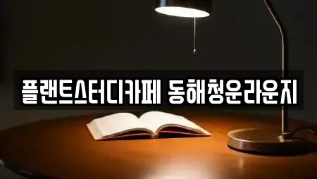 플랜트스터디카페 동해청운라운지