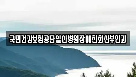 국민건강보험공단일산병원장애친화산부인과
