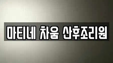 마티네 차움 산후조리원