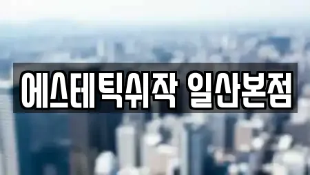 에스테틱쉬작 일산본점