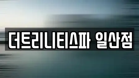 더트리니티스파 일산점