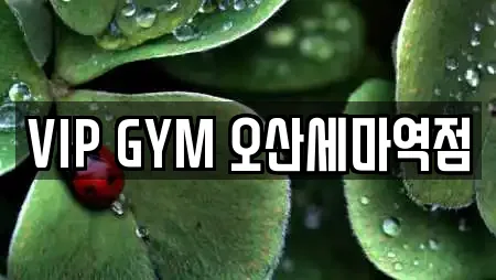VIP GYM 오산세마역점