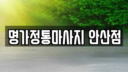 명가정통마사지 안산점