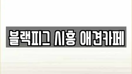 블랙피그 시흥 애견카페