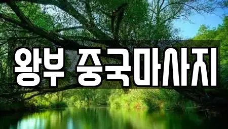 왕부 중국마사지