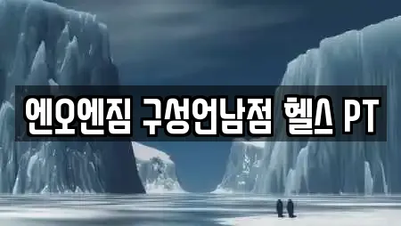 엔오엔짐 구성언남점 헬스 PT