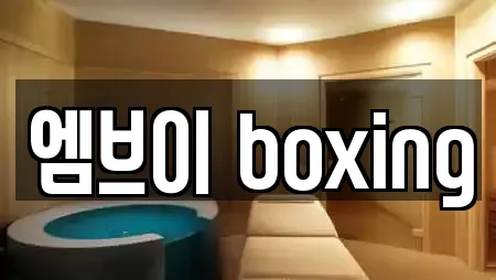 엠브이 boxing