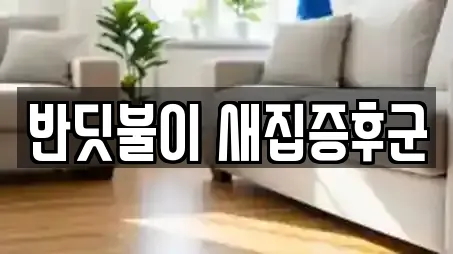 반딧불이 새집증후군