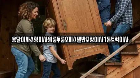 용달이사소형이사원룸투룸오피스텔반포장이사1톤트럭이사