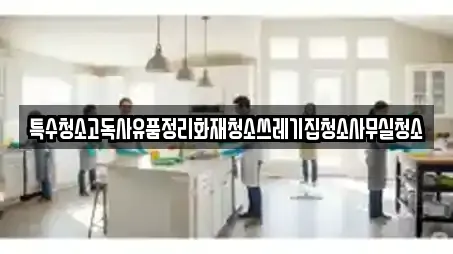 특수청소고독사유품정리화재청소쓰레기집청소사무실청소