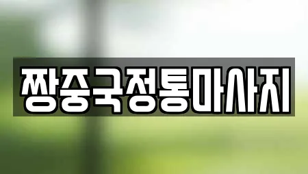 짱중국정통마사지