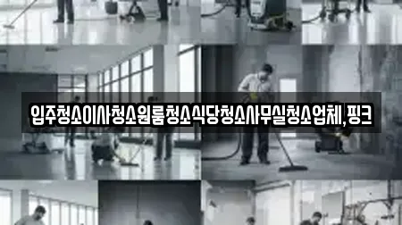 입주청소이사청소원룸청소식당청소사무실청소업체,핑크