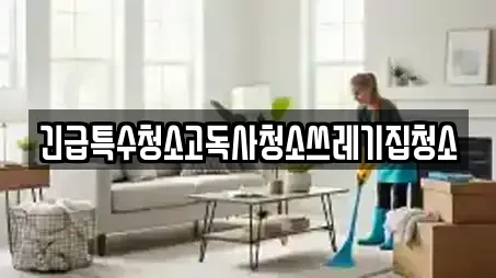 긴급특수청소고독사청소쓰레기집청소