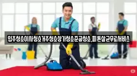 입주청소이사청소거주청소상가청소준공청소,피톤살균무료서비스