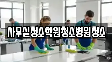 12곳의 군포시 금정동 사무실청소 전문업체