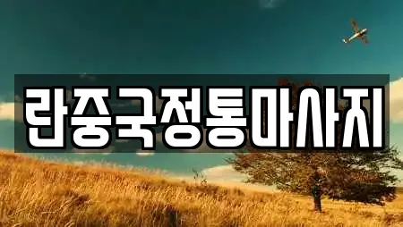 란중국정통마사지