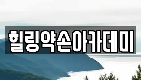 힐링약손아카데미