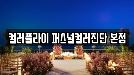 컬러플라이 퍼스널컬러진단 본점