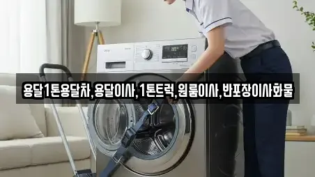 벽진면 용달이사,이사,포장이사,원룸이사,사무실이사 4 위치