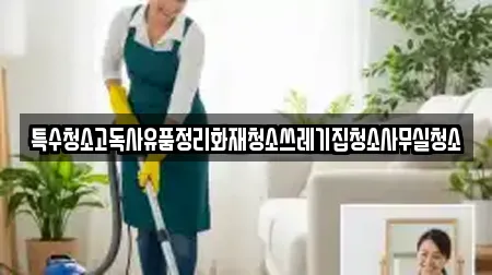 특수청소고독사유품정리화재청소쓰레기집청소사무실청소