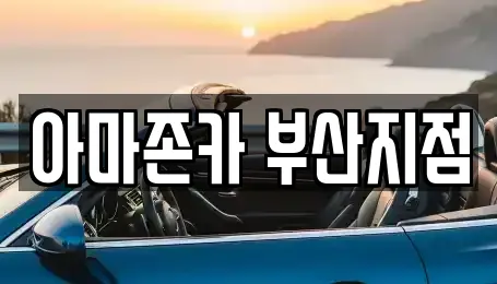 아마존카 부산지점