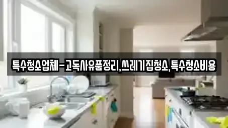 특수청소업체-고독사유품정리,쓰레기집청소,특수청소비용