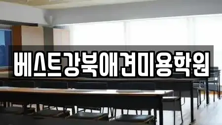 베스트강북애견미용학원