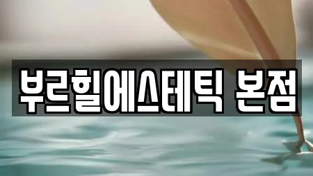 부르힐에스테틱 본점