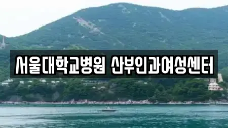 서울대학교병원 산부인과여성센터