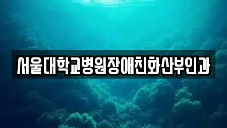 서울대학교병원장애친화산부인과
