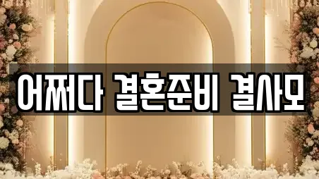 어쩌다 결혼준비 결사모