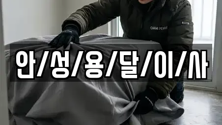 안/성/용/달/이/사