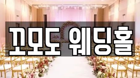 안성시 삼죽면 웨딩박람회 가격 비교 2