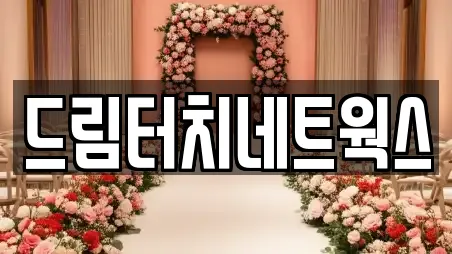 드림터치네트웍스