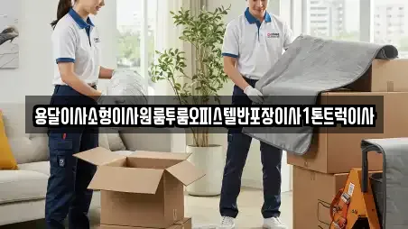 용달이사소형이사원룸투룸오피스텔반포장이사1톤트럭이사