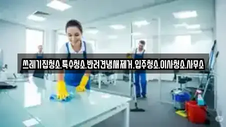 쓰레기집청소.특수청소.반려견냄새제거.입주청소.이사청소.사무소