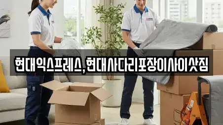 현대익스프레스,현대사다리포장이사이삿짐