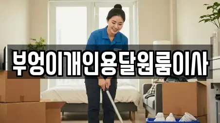 부엉이개인용달원룸이사