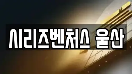 시리즈벤처스 울산