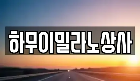 전남 나주 다시면 추천 렌트카,장기렌트카,중고차,자동차전시장 업체검색