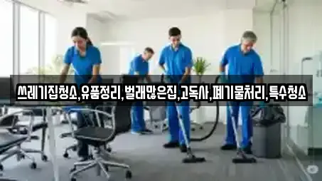 쓰레기집청소,유품정리,벌래많은집,고독사,폐기물처리,특수청소