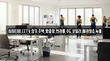 시시티비,CCTV,상가,주택,방충망,현관롤,수도,보일러,배관청소,녹물