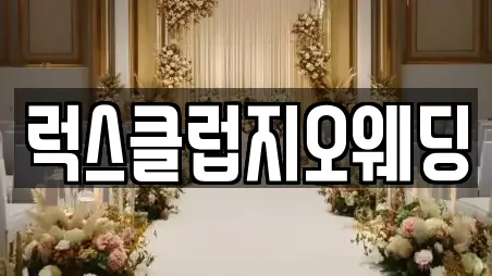 전북특별자치도 정읍시 상평동 동네 웨딩컨설팅 7곳