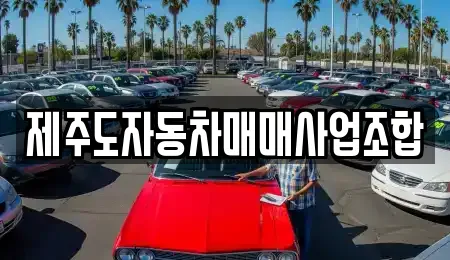 제주도자동차매매사업조합