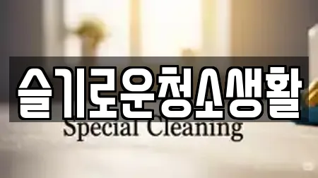 슬기로운청소생활