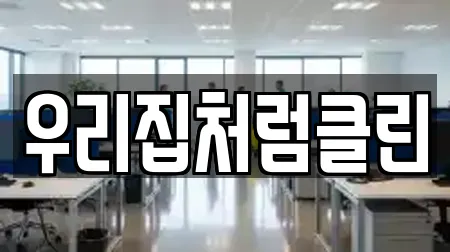 우리집처럼클린