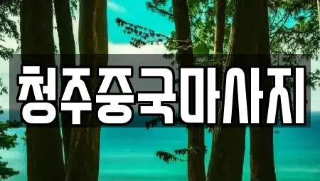 청주중국마사지