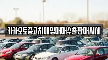 카카오토중고차매입매매수출판매시세